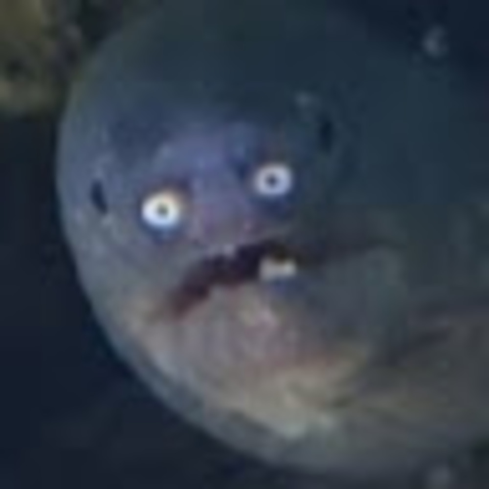 Meet your Posher, Nessie